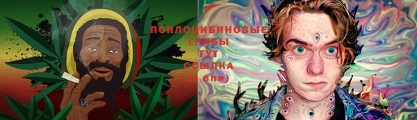 твердый Алзамай