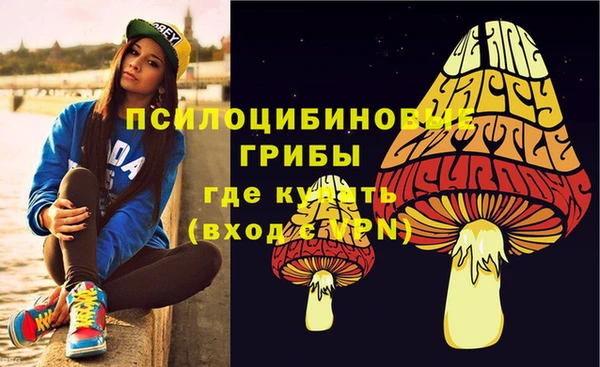 твердый Алзамай