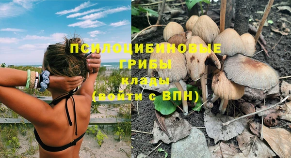 твердый Алзамай